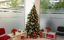 Ο Άγιος Βασίλης του «Συλλόγου των Αθηναίων» εμφανίστηκε στα Πετράλωνα και μοίρασε δώρα